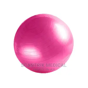 Fitness Equipment Anti Burst Ball