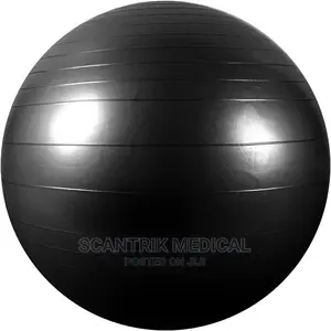 Anti-Burst PVC Gym Ball Exercise