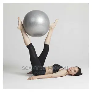Home Non-Slip Balance Ball