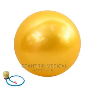 Custom Logo Anti Burst Exercise Ball