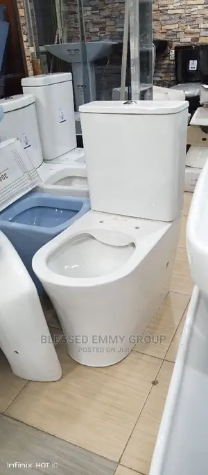 Big Wc and the Wash Hand Basin and Pedestal