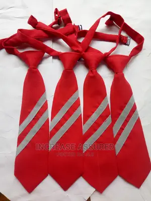 Well Tailored School Tie