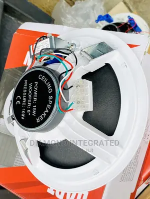 Loud 15 Watts Ceiling Speaker