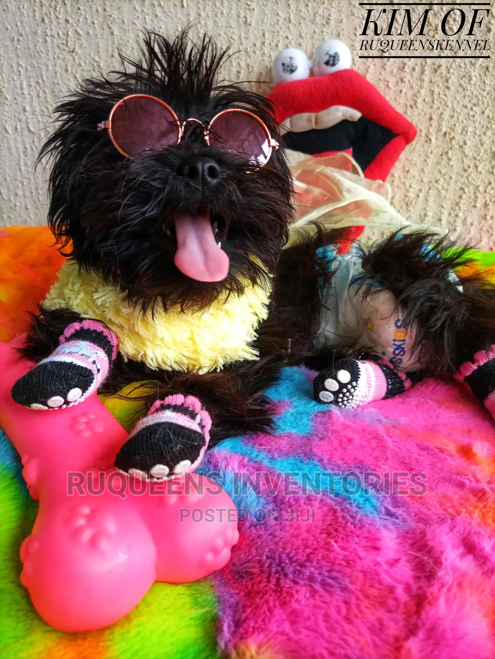 Pet Dog Bed