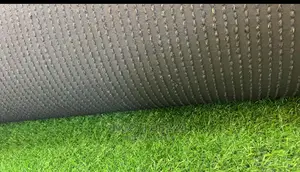 Artificial Grass