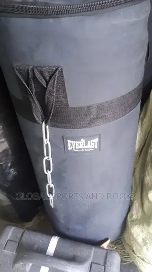 Everlast Punching Bag