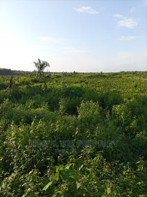 2 Plots Of Land For Sale With Gazetted and Survey