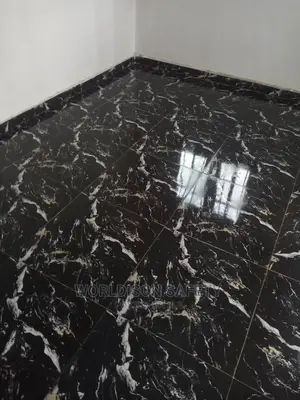 House and Office Cleaning in Benin City