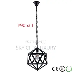 Single Pendant Light