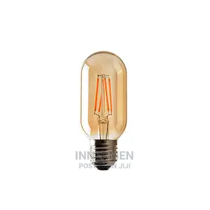 Antique Edison LED Bulb T45