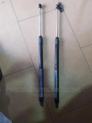 Boot Shock for Lexus Rx350 2010 - 2015