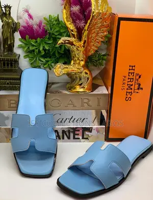 HERMES Designers Luxury Slippers.