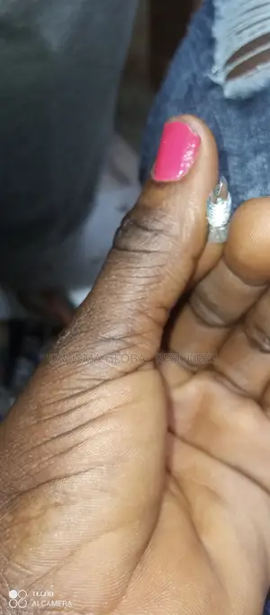 Bolt and Nut