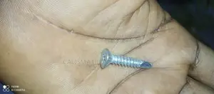 Bolt and Nut
