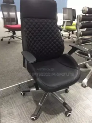 Ergonomic Executive Director Office Chair
