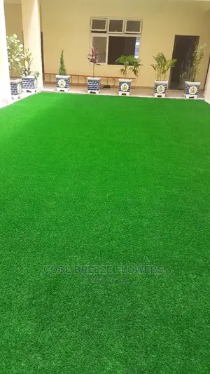 Artificial Grass for Sales and Installations