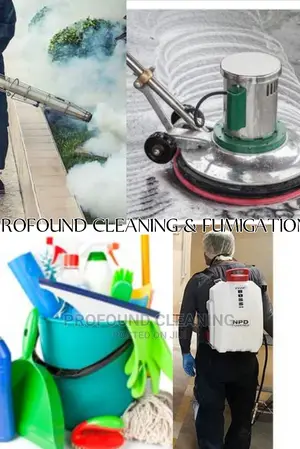 Cleaning And Fumigation Service