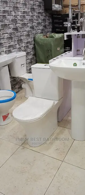 Original WC Set and the Wash Hand Basin and Pedestal