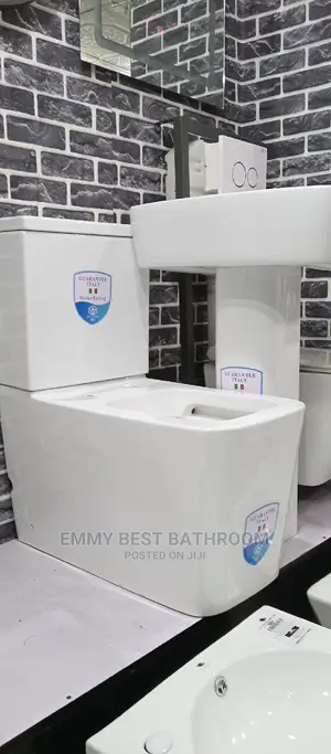 Italian Wc Set With the Wash Hand Basin and Pedestal