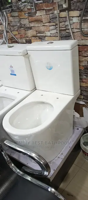 Round Shape WC With the Wash Hand Basin and Pedestal