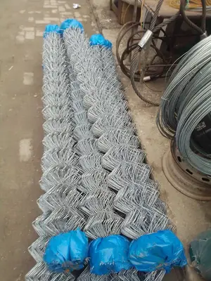 Barb Wire 6feets By10meters Length 2.5mm in Different Colors