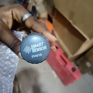 Smart Sensor PH Meter