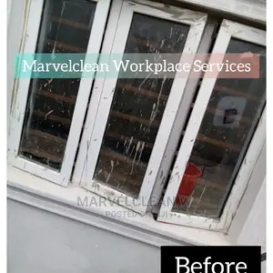 Professional Cleaners