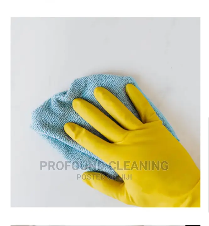 Cleaning and Fumigation Services