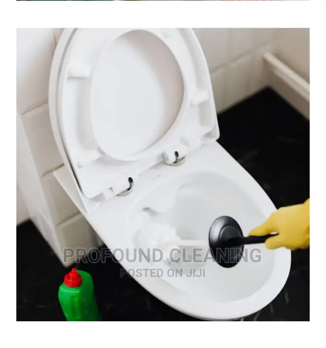 Cleaning and Fumigation Services