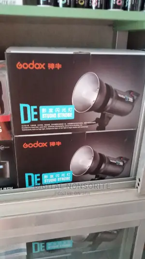 Godox De300 Set With Trigger