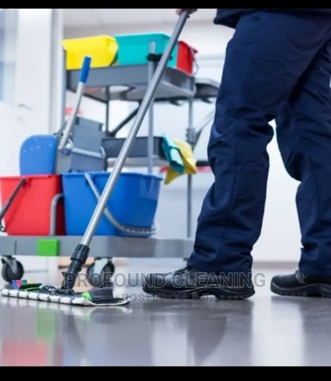 Cleaning and Fumigation Services