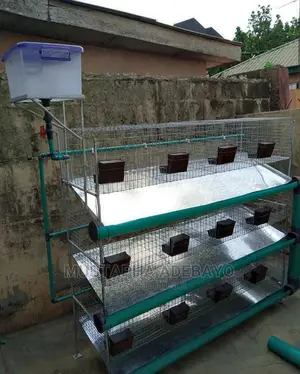 Rabbit Cage