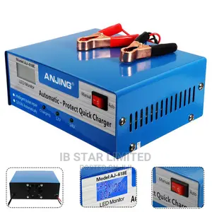 Automatic Intelligent 12/24v Pulse Car Battery Charger