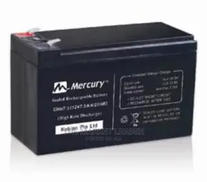 Mercury 100AHMS Deep Cycle Battery