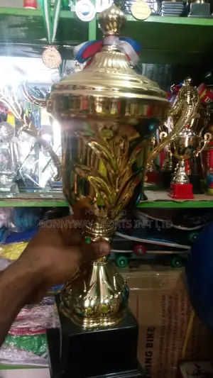 Big Gold Schools Trophies