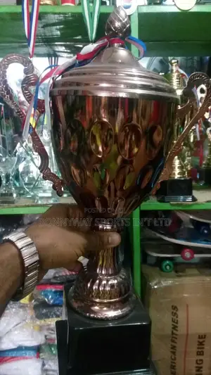 Bronze Trophies