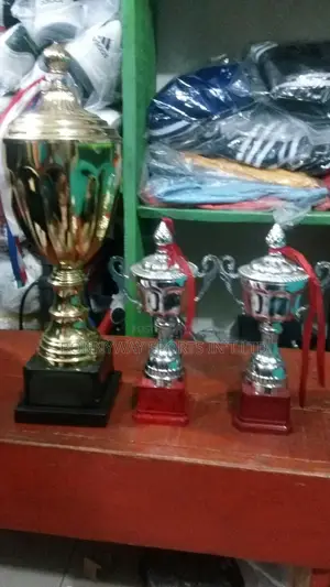 3 Sizes Of Trophies