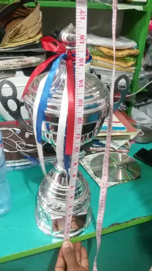 16 Inches Height Silver Trophy