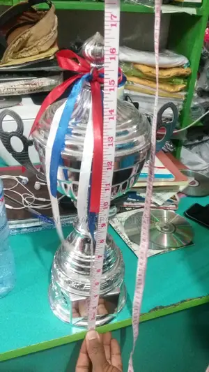 16 Inches Height Silver Trophy