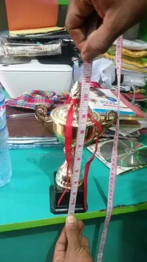 Medium Gold Nd Silver Trophy 11