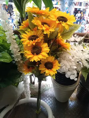 Sterm of Sunflower