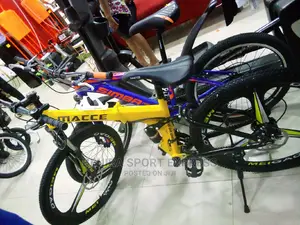 Athletic Bike