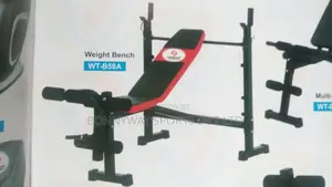 Olympics Weight Bench
