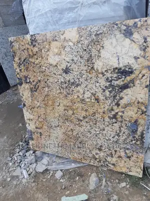 Italian Exotic Marble/Granite Floor Tiles 2cm Thickness