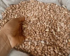 Brown Beans,50kg From Maiduguri,