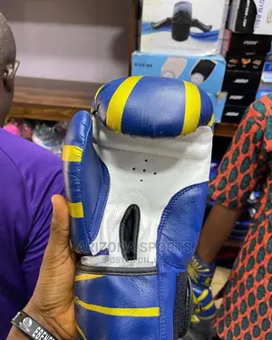 Newly Imported Boxing Gloves