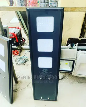 Evershine 150watts All in One Solar Street Light