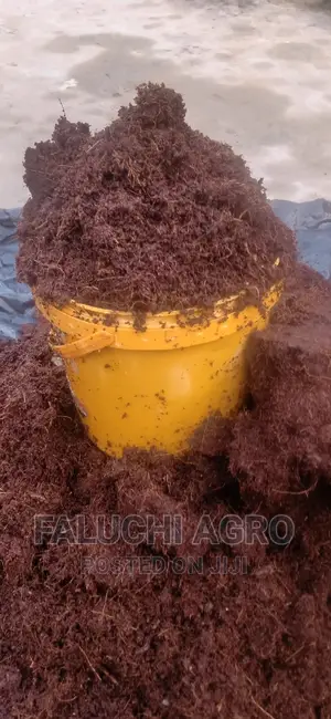 Dissolved Washed and Buffered Coco Peat ( Custard Paint )