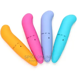 Dolphin Mini Vibrator Sex Toy