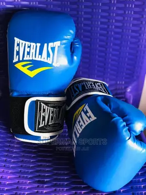 EVERLAST Boxing Gloves